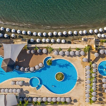 Royal Apollonia By Louis Hotels Limassol Exterior photo Aerial view of the beach